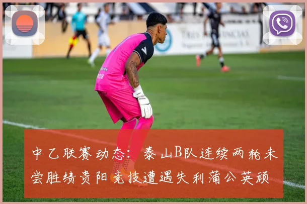 中乙联赛动态：泰山B队连续两轮未尝胜绩贵阳竞技遭遇失利蒲公英顽强战平